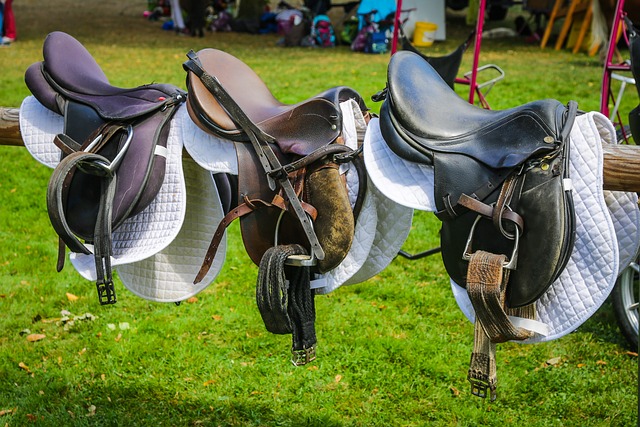 Selle de Dressage Idéale