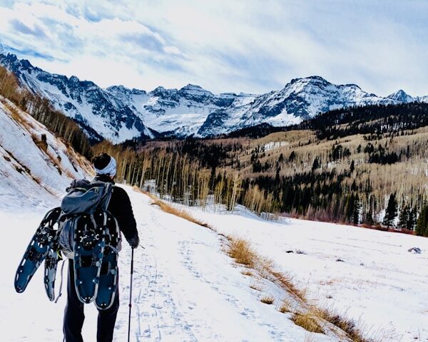 Pourquoi un séjour nature dans les Alpes est-il l’évasion parfaite pour votre esprit ?